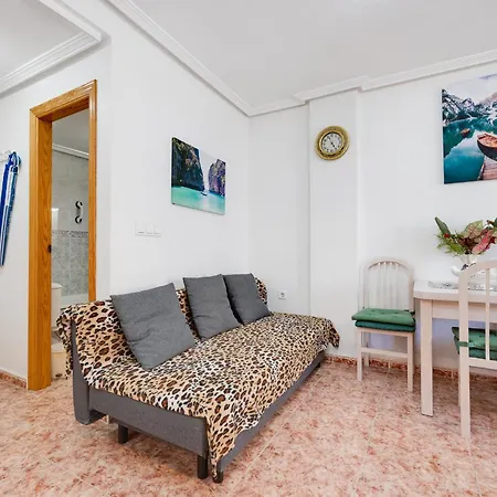 Apartment Centrico